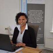 Praktijk de Switch voor Jeugdhulp en Psychosociale therapie